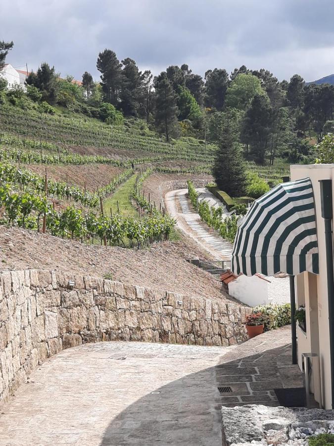 Quinta Da Timpeira Vendégház Lamego Kültér fotó