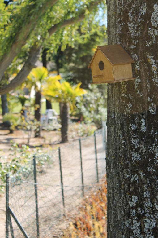 Quinta Da Timpeira Vendégház Lamego Kültér fotó