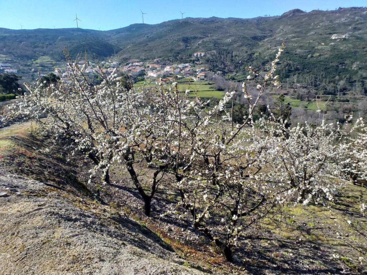 Quinta Da Timpeira Vendégház Lamego Kültér fotó